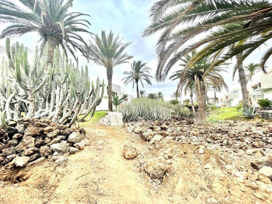 Apartamento Con Piscina Sur De Tenerife Costa del Silencio Exterior foto